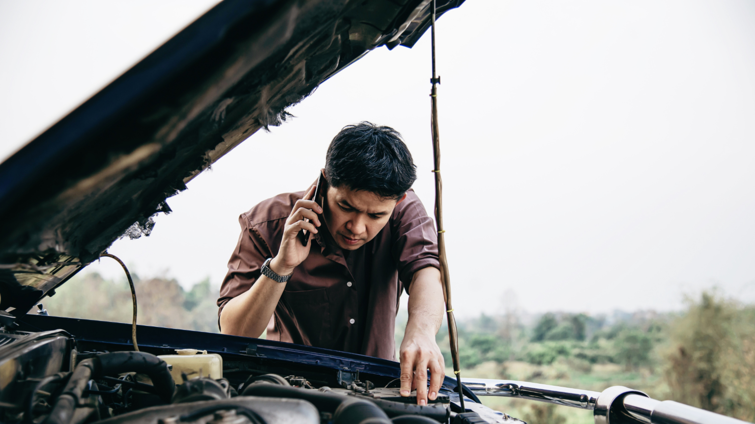How to clean the insulation under the hood of your car The Pine Street