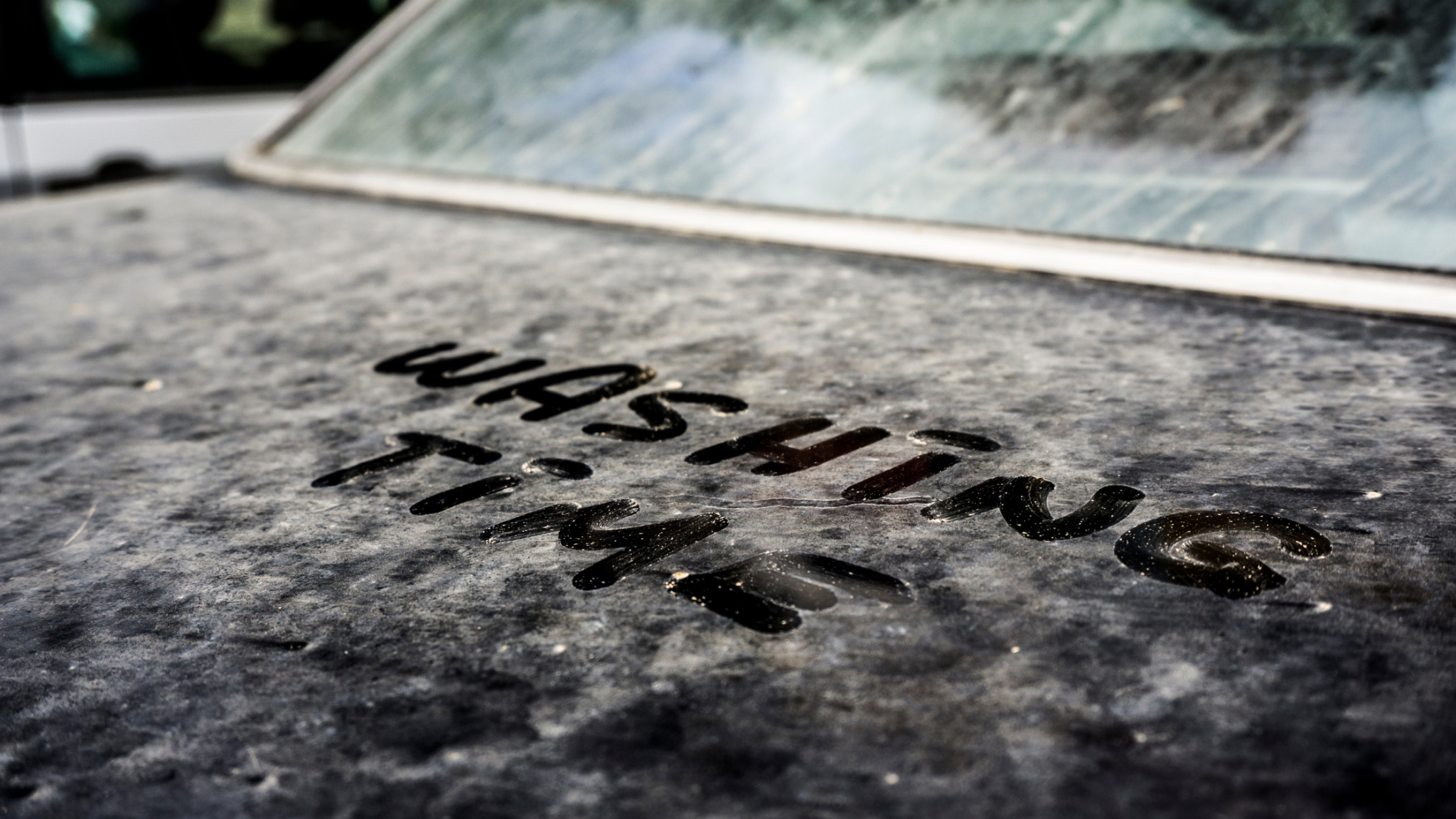 How to clean the insulation under the hood of your car The Pine Street