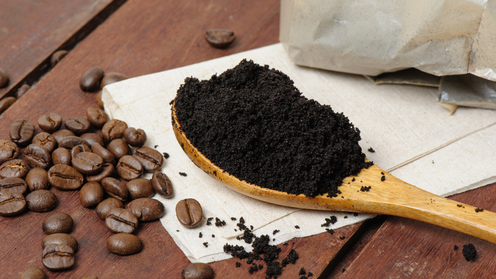 How to store kimchi in the fridge without the smell The Pine Street